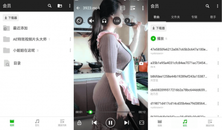 XPlayer v2.4.5 专业版：全能视频播放器