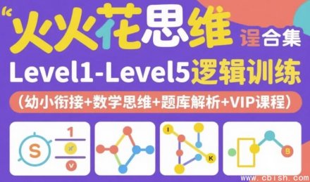 火花思维课程全集｜涵盖Level 1至Level 5的逻辑思维训练（含幼小衔接、数学思维培养、题库详解及VIP专属课程）