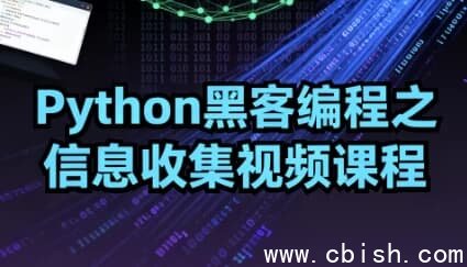 Python黑客编程：信息收集实战视频课程