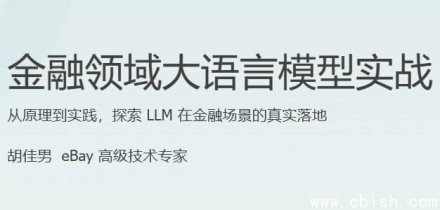 金融领域大语言模型实战应用