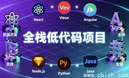 全栈低代码开发项目