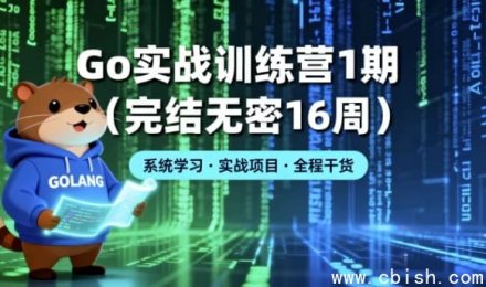 Go 实战训练营第一期（完整版，共16周，无加密）