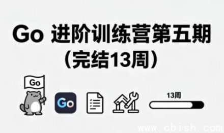 Go 进阶训练营第五期（13周完整完结）