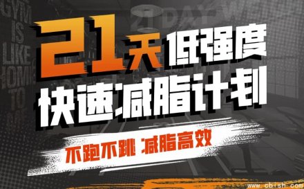 猫叔21天低强度无跑跳高效减脂计划