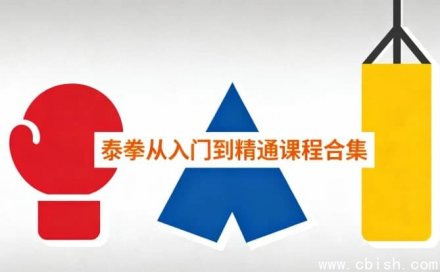 泰拳从入门到精通：系统化课程全集