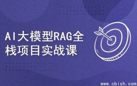 AI大模型RAG项目实战课程