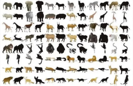 5000+张动物免抠PNG素材