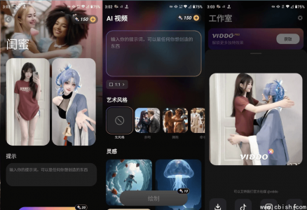 Viddo Pro 虚拟数字人制作工具 v4.0.0.2 高级版