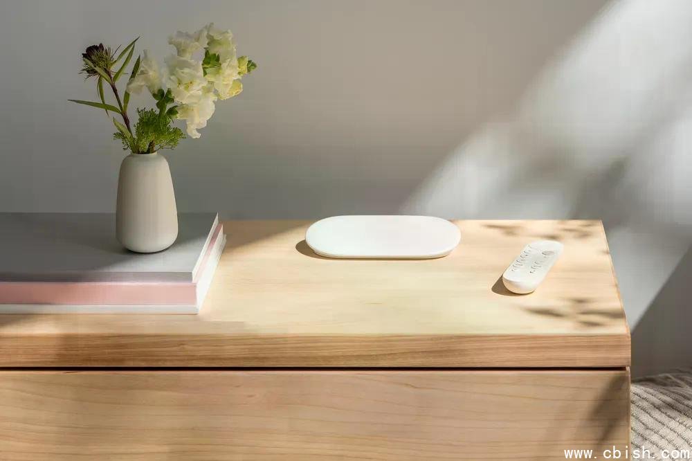 Gemini for TV 在 Google TV 上的界面示意图，显示语音交互与推荐内容