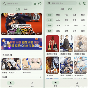 6号动漫V0.0.1去广告版：无广告秒播看漫神器