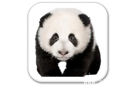 熊猫精灵脚本助手 V3.1：零代码自动化效率平台，一键生成智能任务脚本