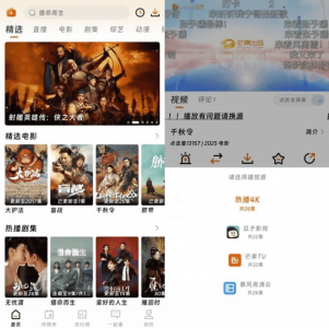 闪映剧场 v1.6.0 纯净无广告版