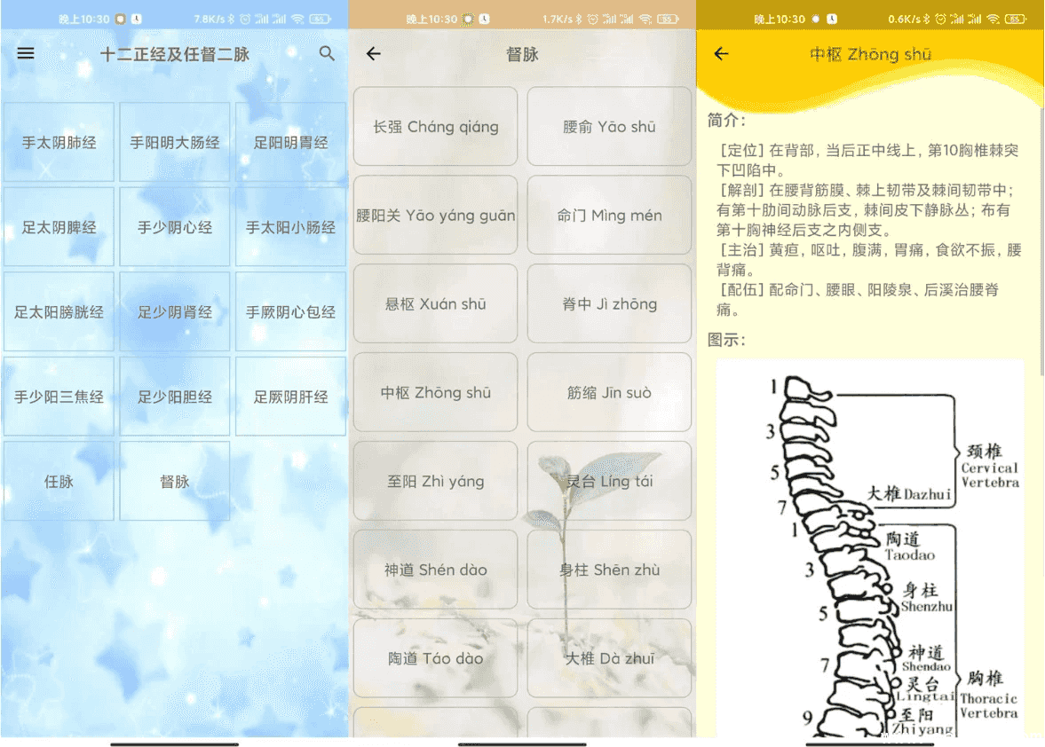 人体穴位图解 v3.1.8 可离线版