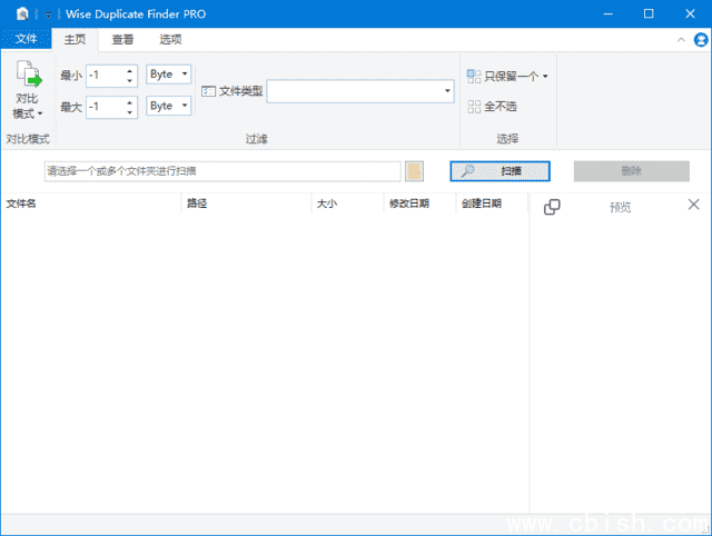 Wise Duplicate Finder(查找删除重复文件) Pro v2.1.7.67 多语便携版