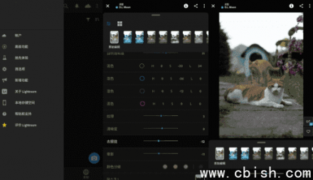 Adobe Lightroom 安卓版 v10.3.0 破解版（手机调色软件）