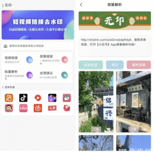 无印 v1.3：视频去水印解析工具