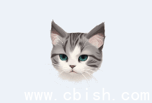 EF File Catalog v25.07 多语言便携版（文件目录管理工具）