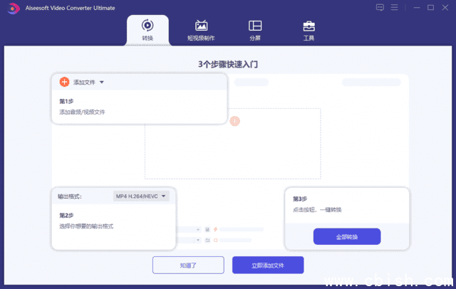 Aiseesoft Video Converter(视频转换大师) v10.8.98 多语便携版