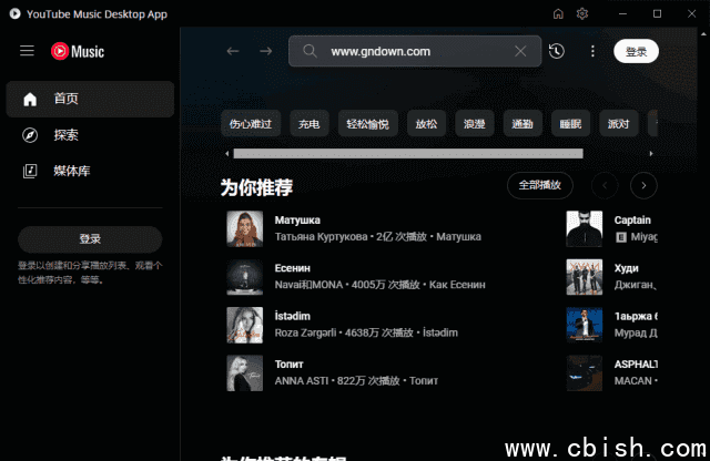 YouTube Music Desktop(YouTube音乐播放器) v2.0.8 多语便携版