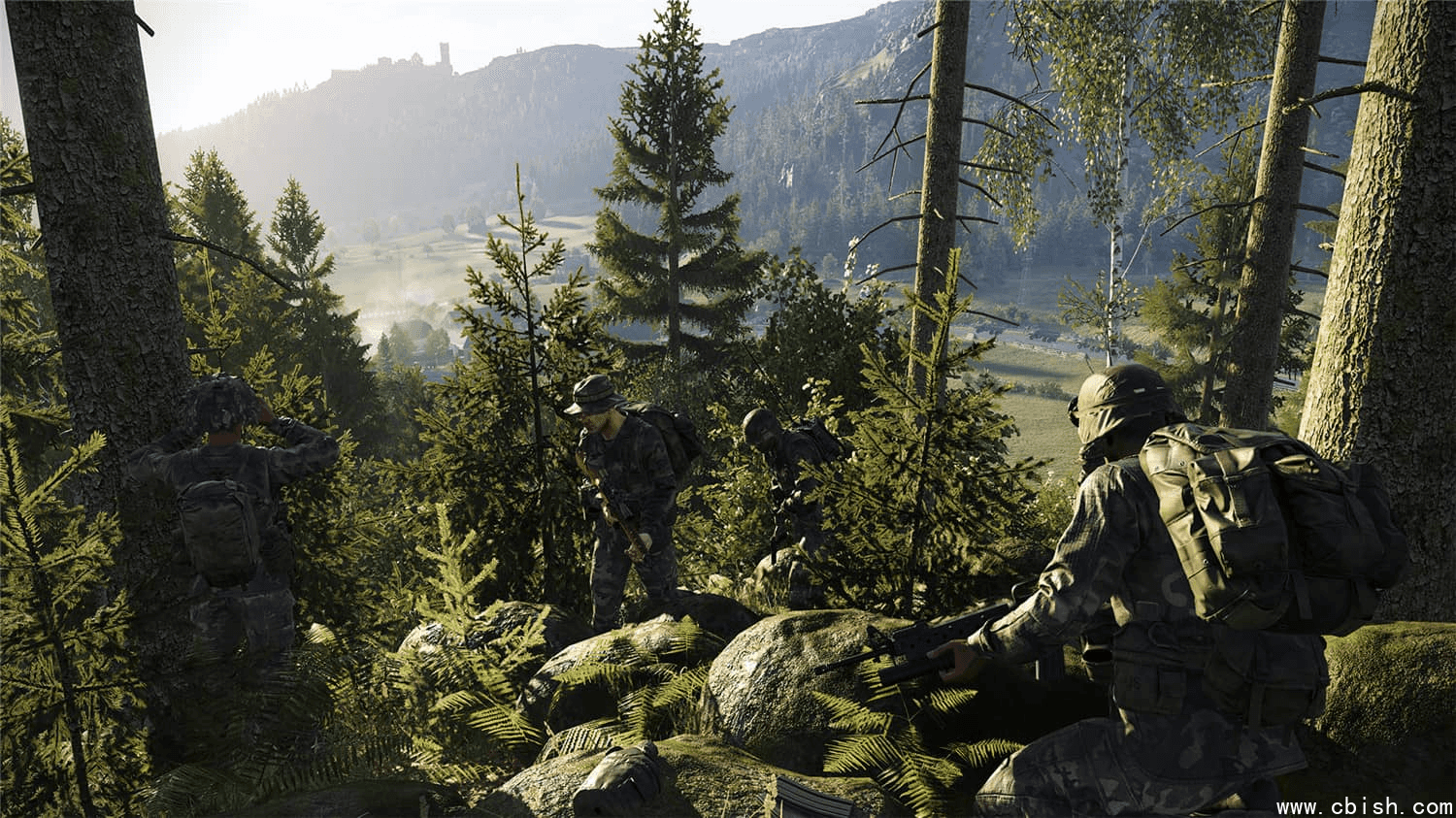 《武装突袭：援德行动》v1.2.1.202 中文版