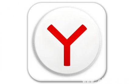 Yandex 浏览器 v25.6.4.219 中文便携版（去广告纯净版）