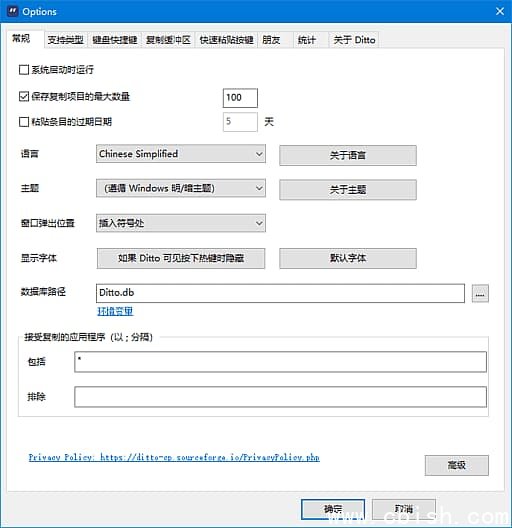 Ditto(Windows剪贴板管理工具) v3.25.113.0 多语便携版