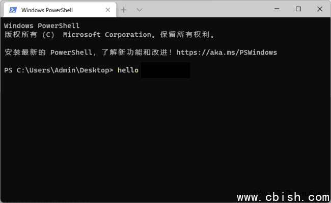 Windows Terminal(命令行终端工具) v1.22.10731.0 中文绿色版