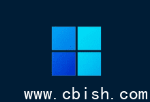 WhyNotWin11（Windows 11 兼容性检测工具）v2.7.0.0 中文绿色免安装版