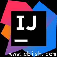 JetBrains IntelliJ IDEA 2025.2.4 正版直装激活教程（Java集成开发环境）