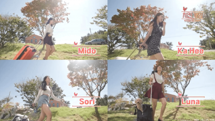 《Chicken Game 小鸡游戏》v1.0.0：韩国真人美女互动影游