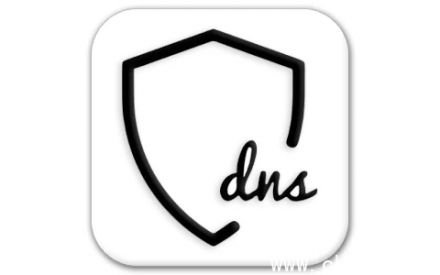 RethinkDNS 隐私保护 v0.5.5n 官方版 → RethinkDNS v0.5.5n 官方版（隐私保护）