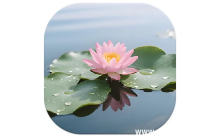 荷花壁纸 v1.2 去广告版