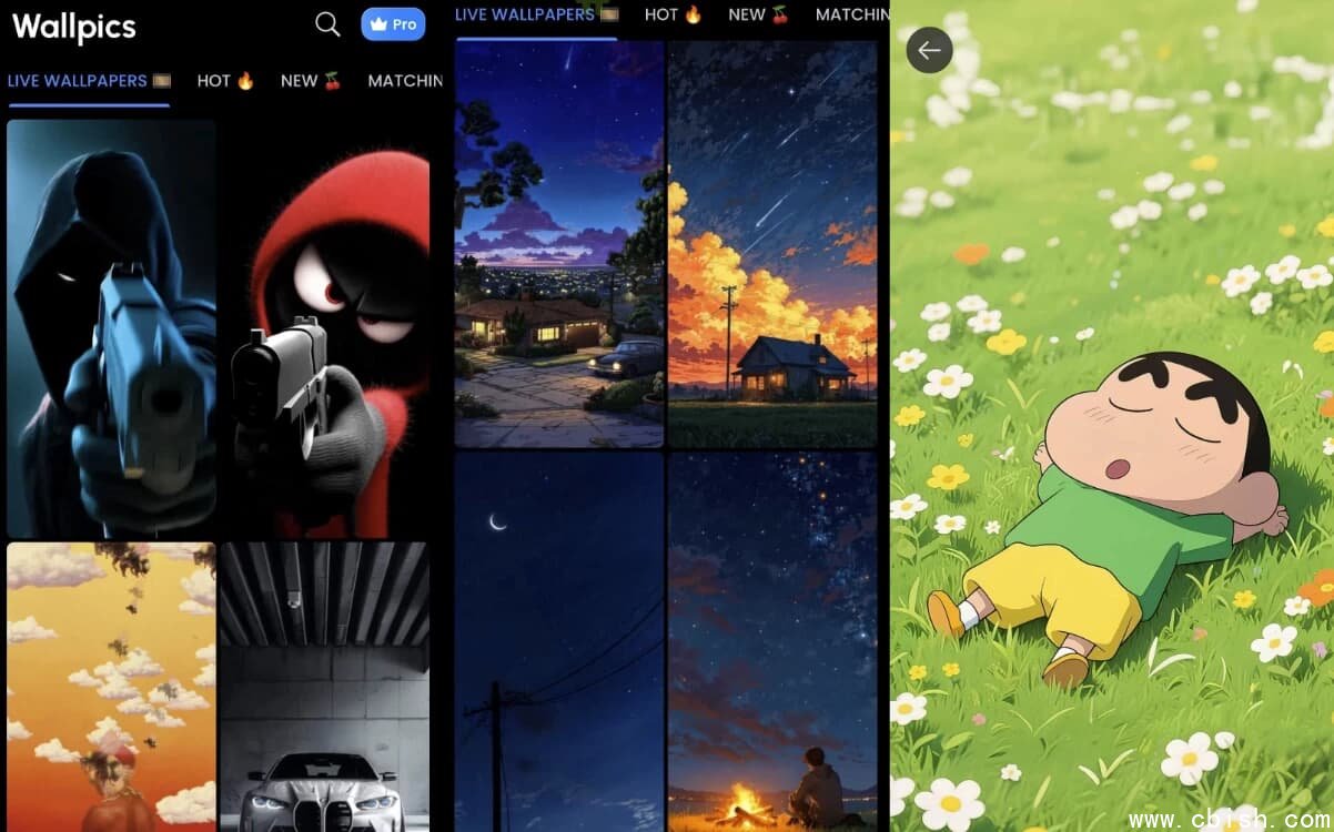 Wallpics 壁纸 v1.0.30 解锁高级版