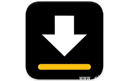 视频下载器 v2.4.8：手机网页视频下载神器