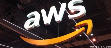 AWS计划投入500亿美元建设政府AI基础设施