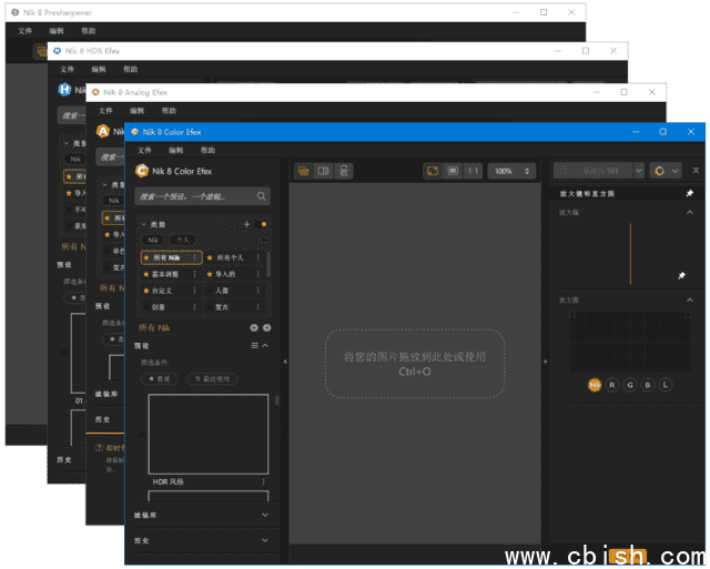 Nik Collection by DxO(摄影师必备PS滤镜) v8.0.12 中文破解版