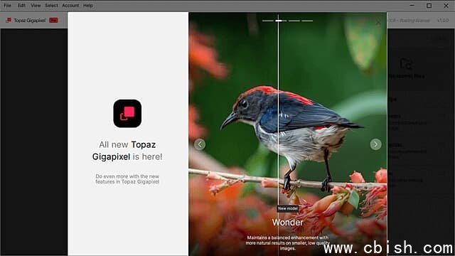 Topaz Gigapixel(图像超分辨率软件) Pro v1.0.4 直装破解版