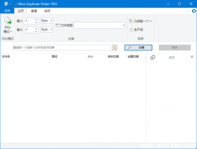 Wise Duplicate Finder Pro v2.1.9.71 多语言便携版