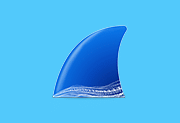 Wireshark v4.6.1 多语言便携版