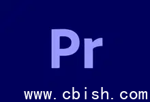 Adobe Premiere Pro 2025 v25.6.2.1 破解直装版