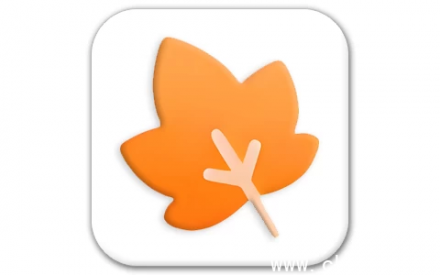 一叶日记 v2.16.0 会员版：多功能日记神器