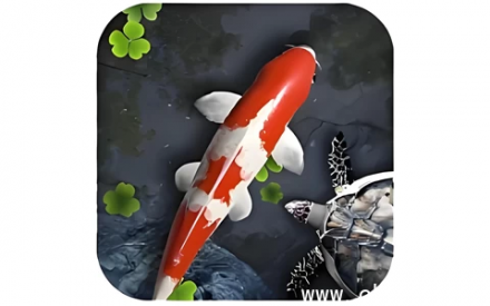 鱼池V2.04：逼真锦鲤动态壁纸