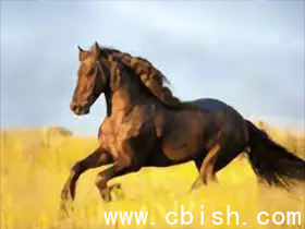 YourTV 你的电视TV v2.2.6 精简版