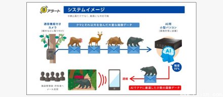日本利用人工智能物联网摄像头建立熊踪预警系统