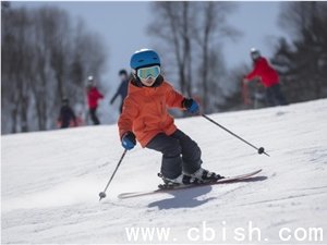 阅文联手生数科技，Vidu大模型打通IP视觉化全链路