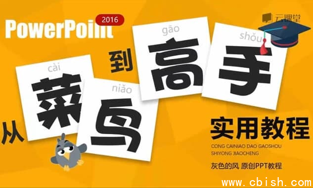 PPT从菜鸟到高手实用教程-