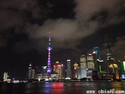 浦东张江攻坚AI垂类大模型，2030年产值冲刺千亿