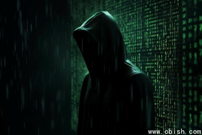 黑客 网络攻击 (2)