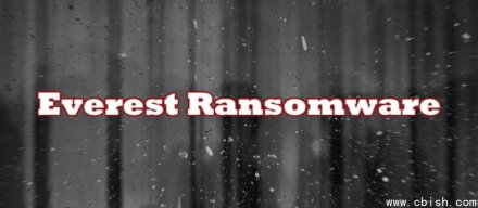 勒索软件Everest声称入侵印度麦当劳，公布近7300万Under Armour客户资料