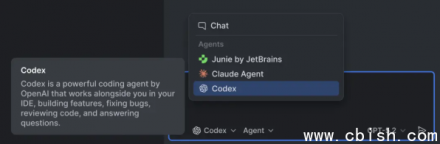 JetBrains IDE 深度集成 OpenAI Codex，实现智能编码协作